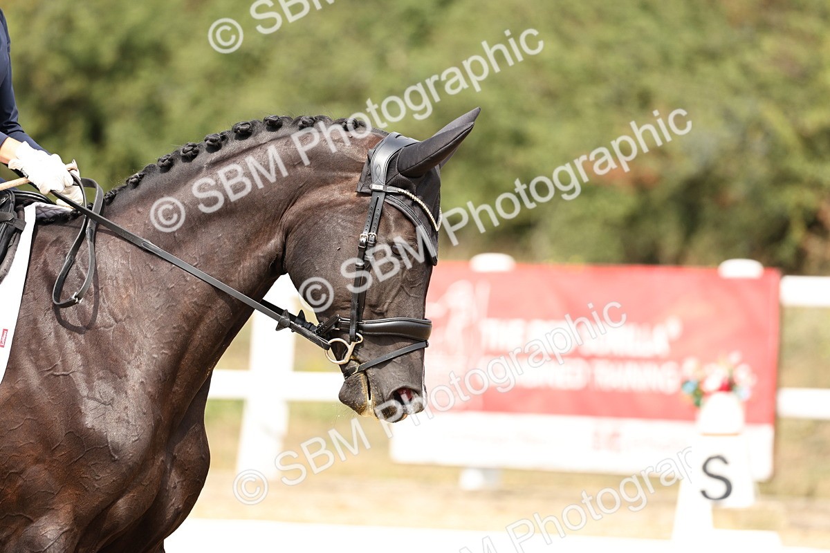 SBM_013136 - Class 3 - Novice 4 - 11.43-12.25