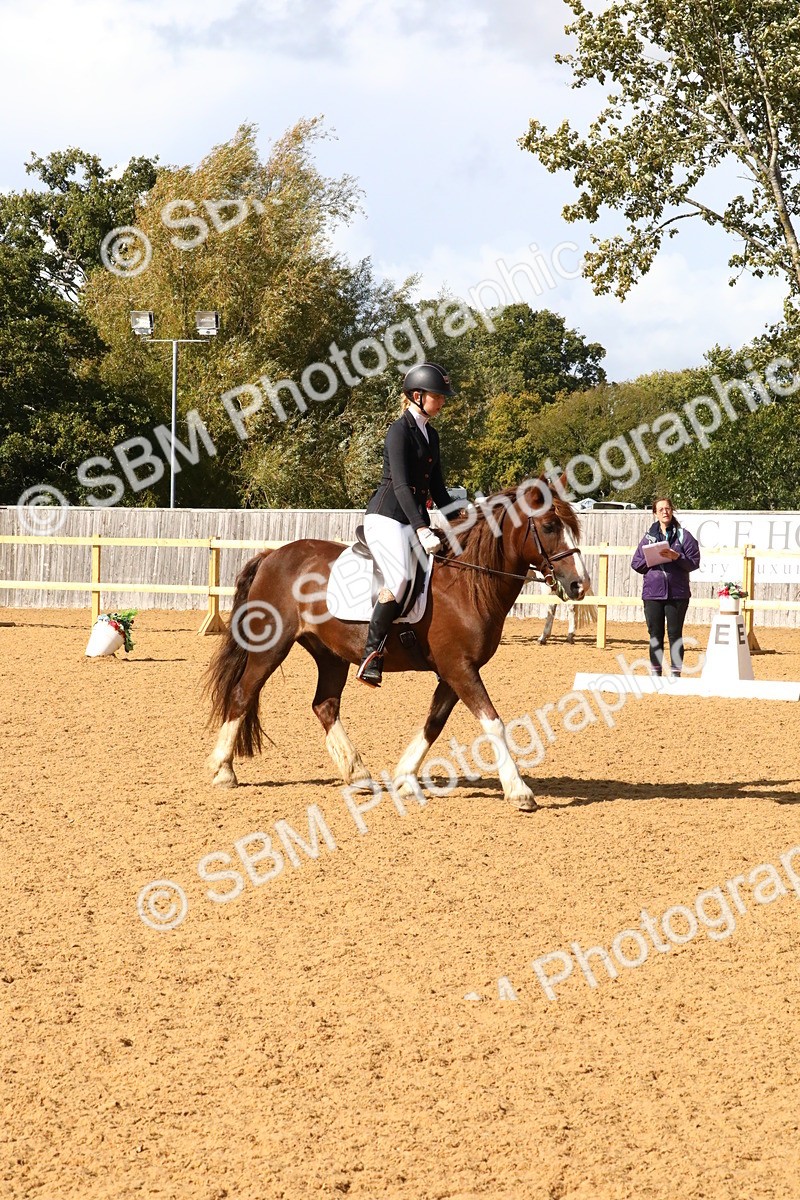 SBM_24396 - D5 - Small Tour Championshop Intro 2