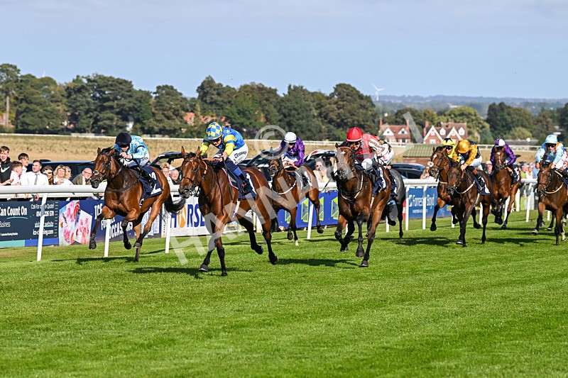 180924-Race 5-Blue Zodiac-4787 - Race 5