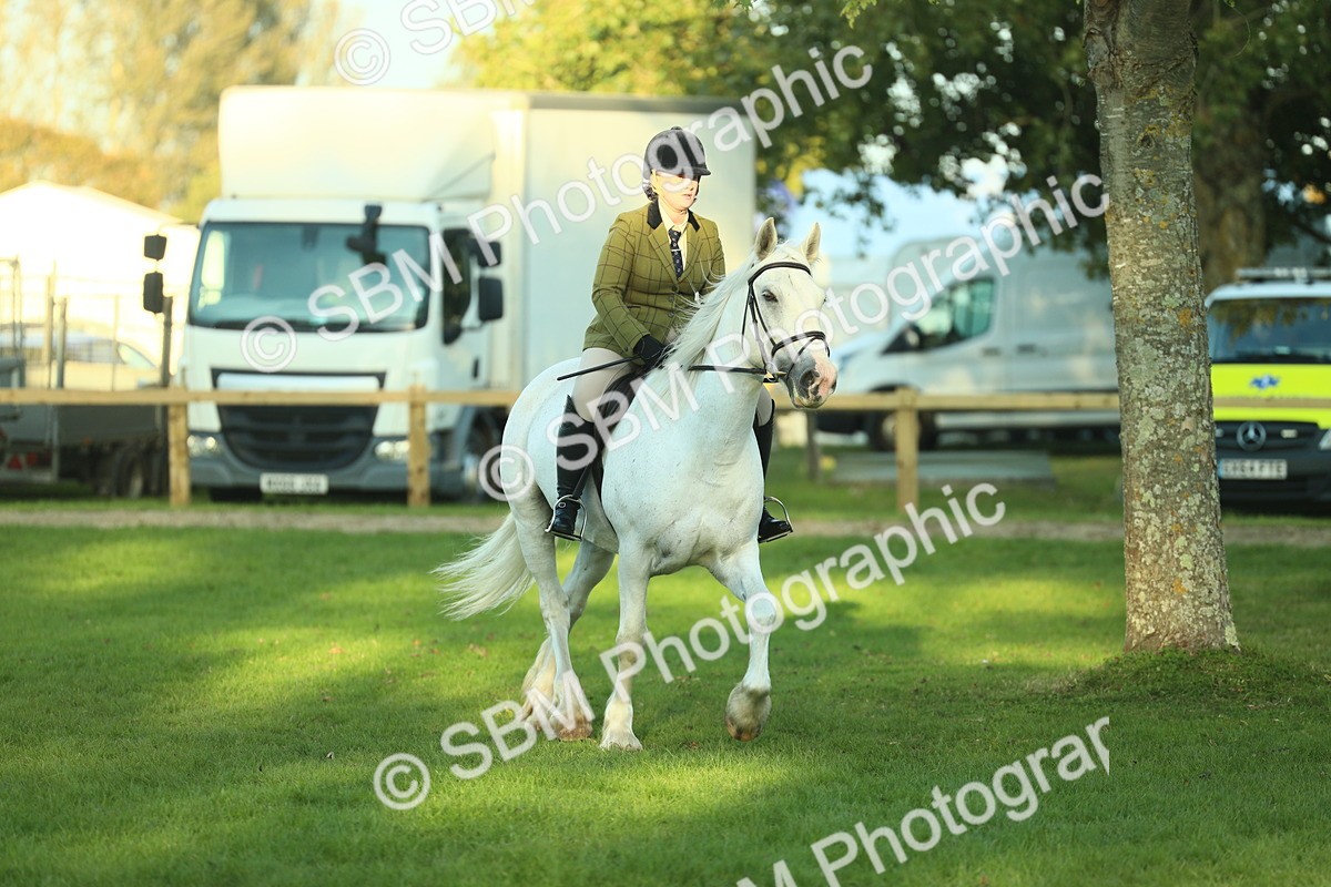SBM_55618 - S14 - Riding Club Horse