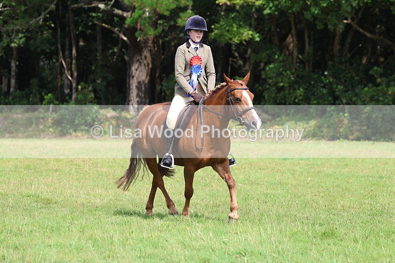 3E7A6040 - Working Hunter Championship