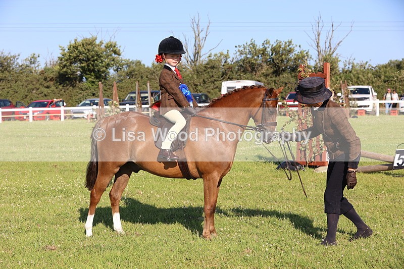 JPP_0885 - Class 16: Cornish Combination Leading Rein
