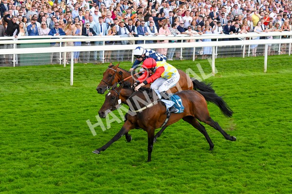 290723-Race 5-Baez-0836 - Race 5 4.35pm Sky Bet Prize Drop Handicap