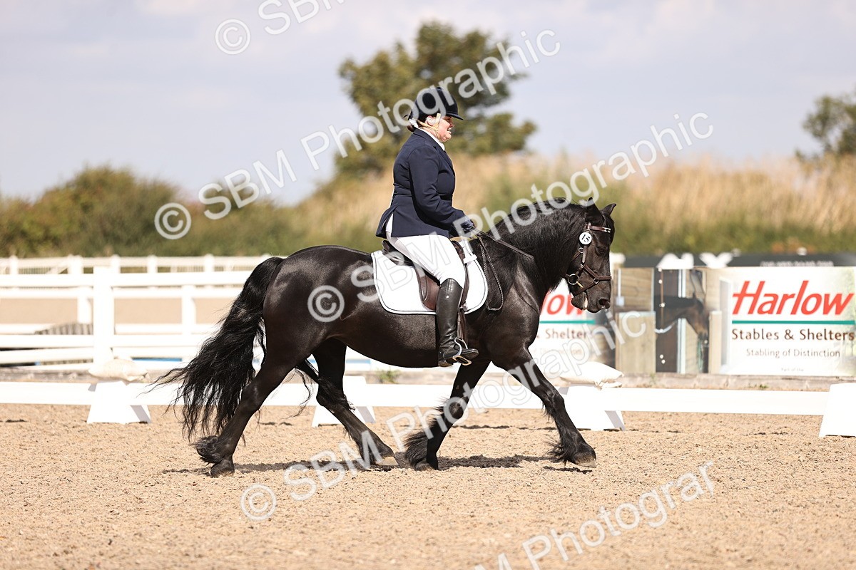 SBM_03682 - CLass 35 Intro 3