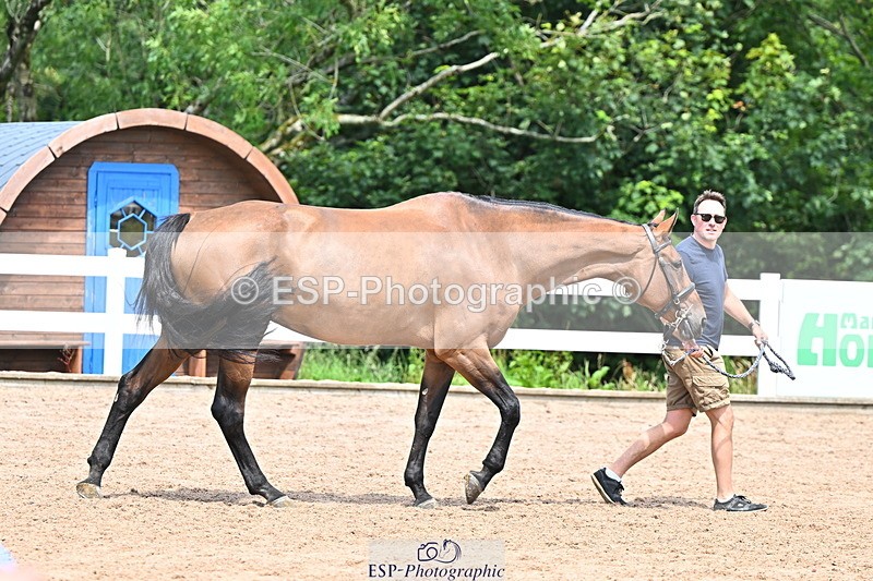240718A-105309-01639 - Trot Up 1pm to 2pm