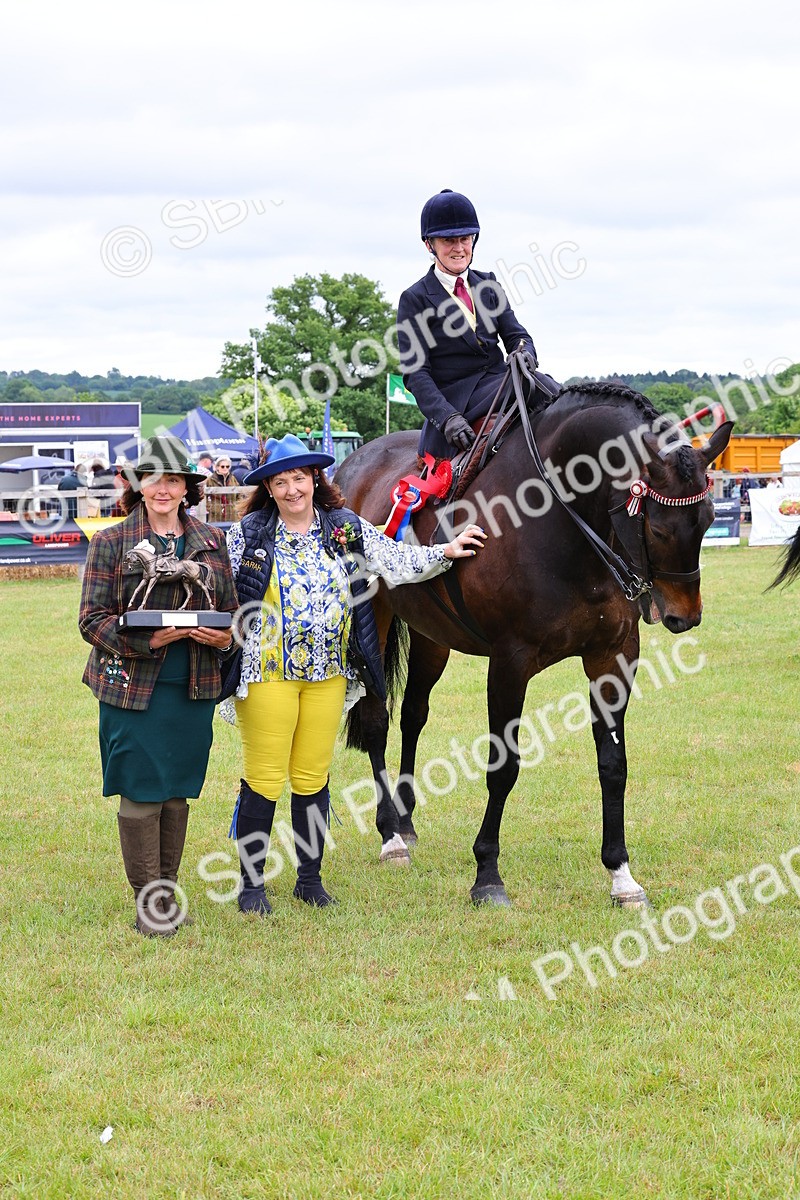 SBM_02889 - Class 9-11 Side Saddle including LIHS Rising Star Ladies Show Horse