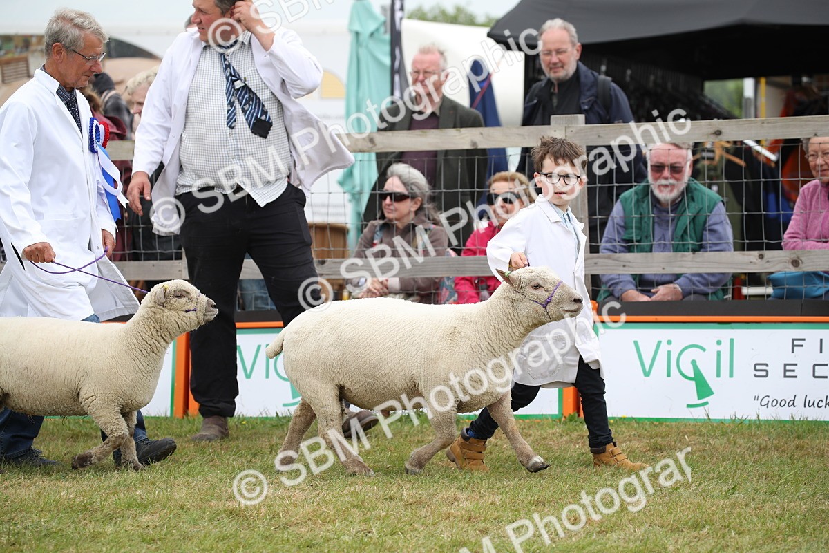 SBM_07800 - Grand Parade
