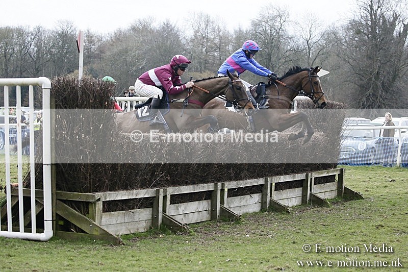 PtP 110318 565 - Hampshire Hunt Point-to-Point Hackwood Park 11/03/18