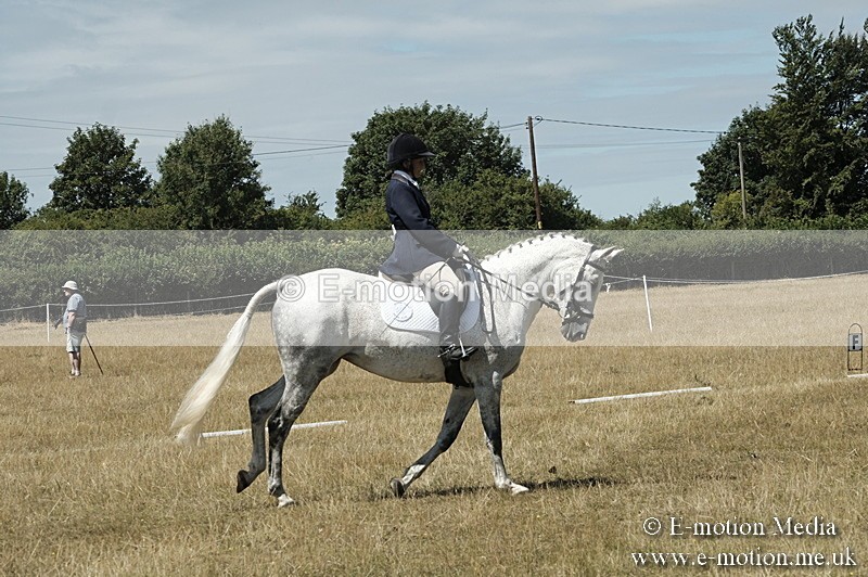 _PJP5899 - Dressage Classes BVRC Show 2018