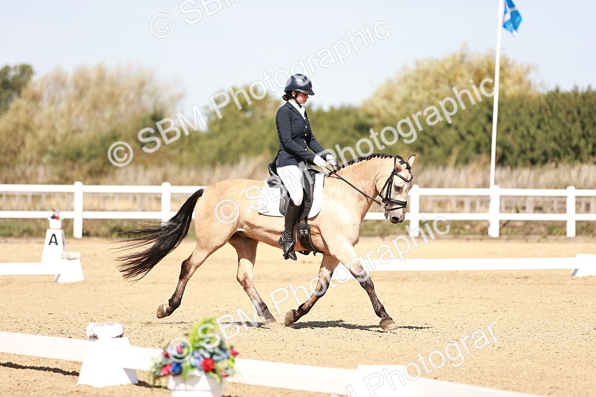 SBM_004626 - Class 12 - Novice 5 - 10.31-11.41