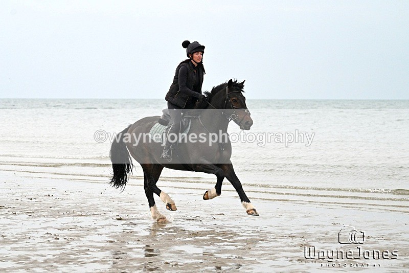 WJ7_9019 - Hayling Island Beach Shoot 22-09-24