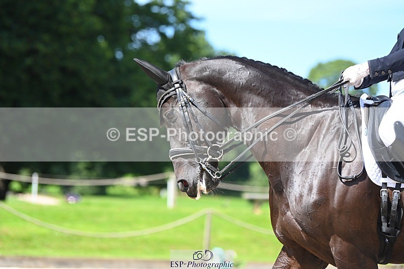 230811-122826-01291 - Cls 4 Adv Medium Silver