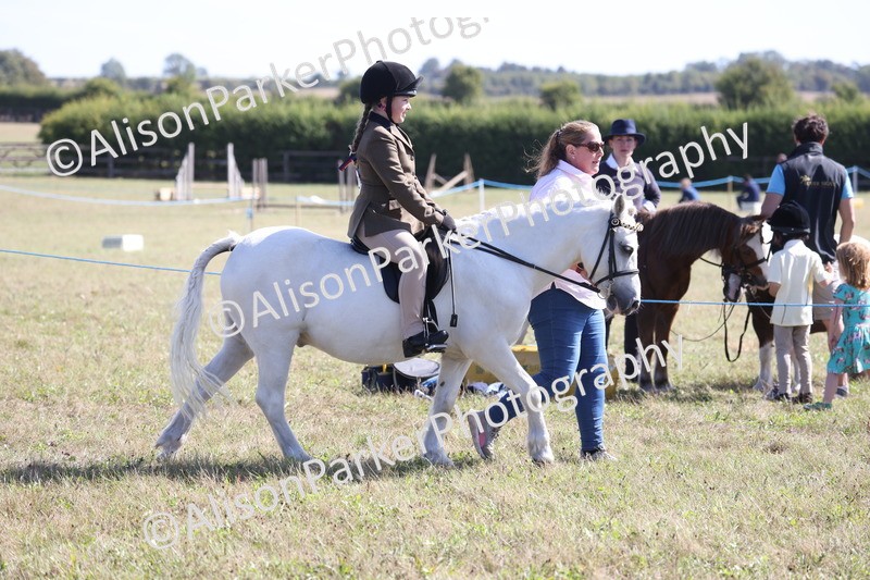 20260906-2260 - Class 16 - Family Pony