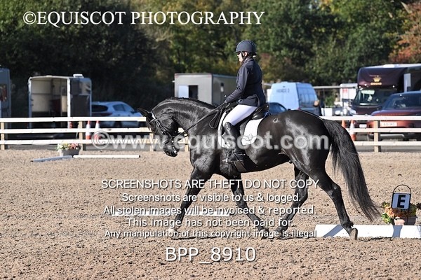BPP_8910 - LONG ARENA NOVICE 6