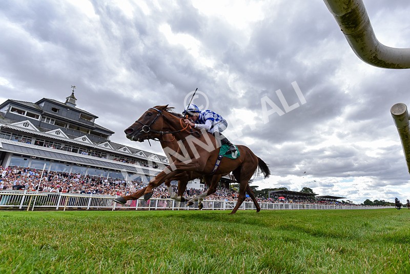 010826-Race 3-Brighton Beach-4566 - Race 3 14.43pm Theakston Great Yorkshire Pint EBF Novice Stakes