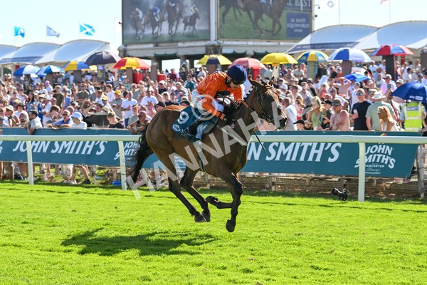 120725-Race 6-Terrorise-6113 - Race 6 4.45pm John Smith's Stayers' Handicap