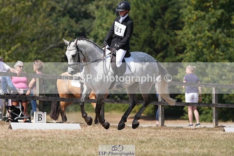 250823A-134719-31247 - Arena A