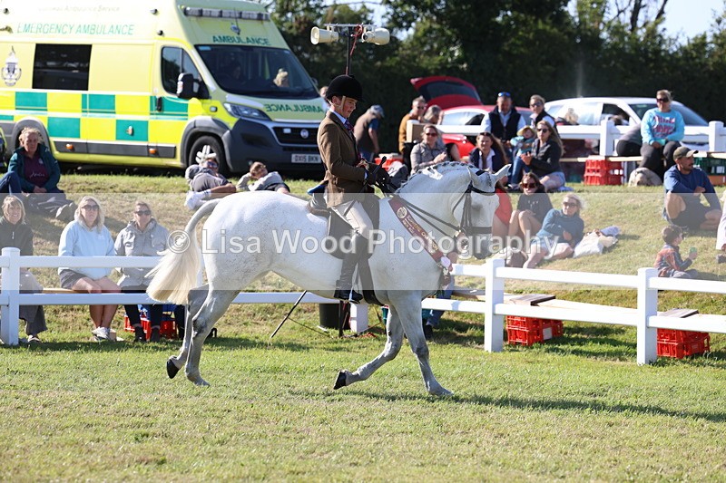 3E7A4245 - Supreme Championship