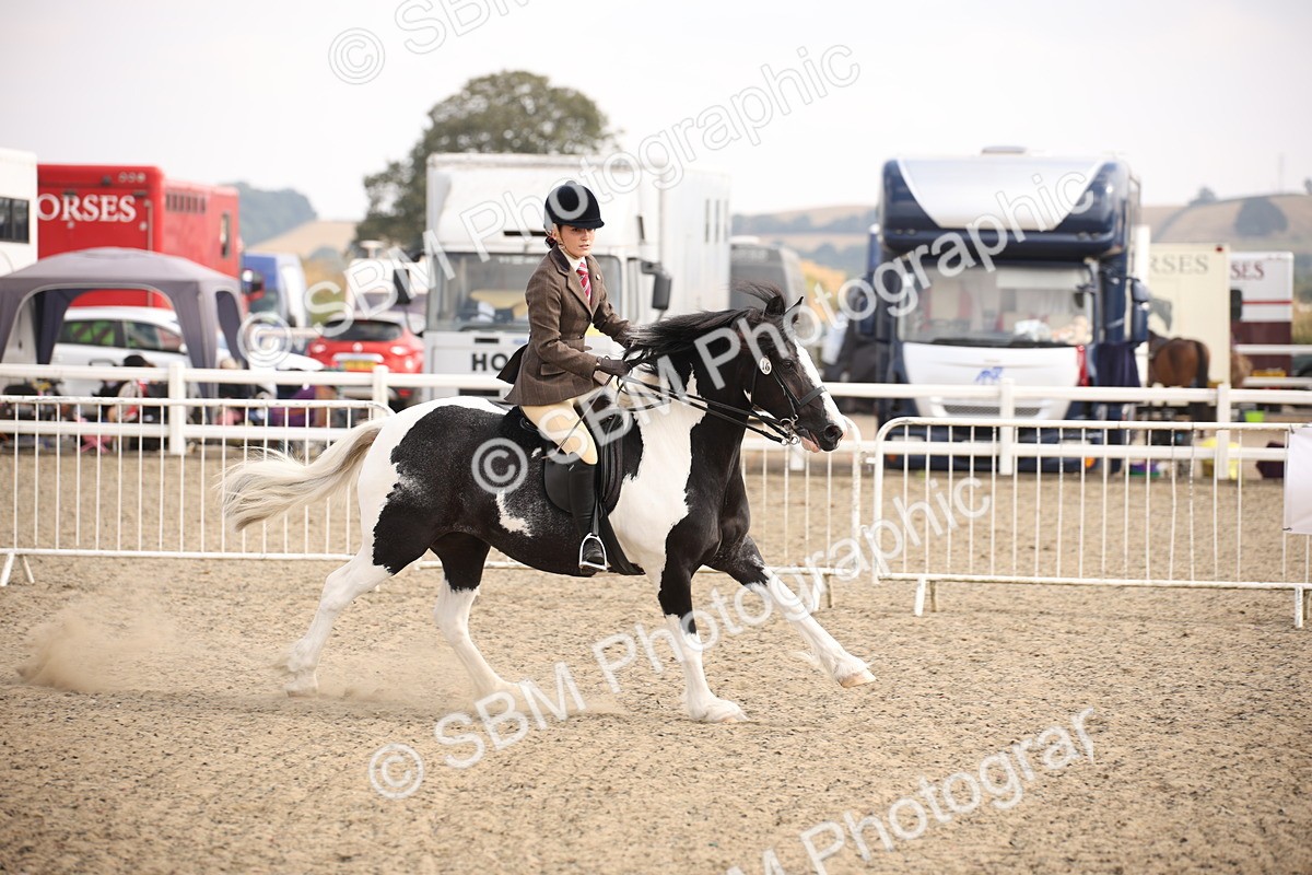 SBM_14984 - Class 408a - Working Veteran 70cm (15-19