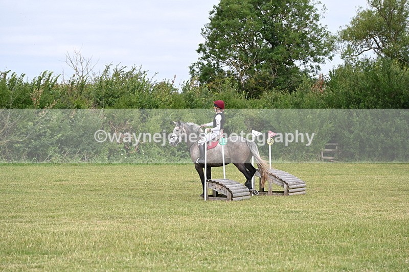 WJ6_6613 - 60cm XC Time 10:17 to 10:49