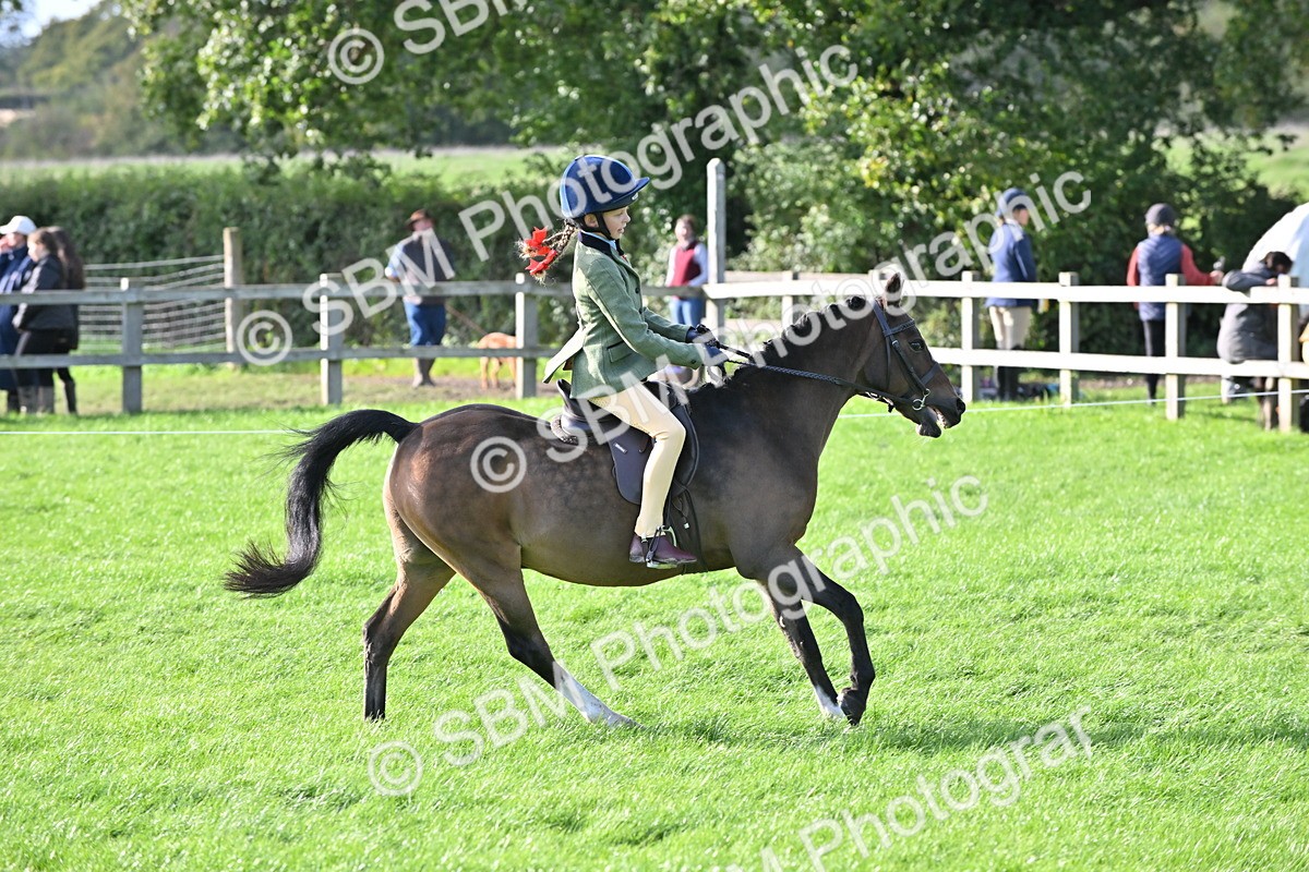 SBM_51246 - S22 - First Ridden show and show Hunter Pony