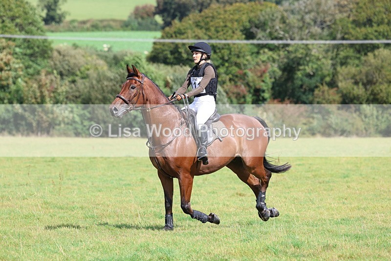 3E7A6578 - Class 1: Trebudannon Open: Pheasant Feeder