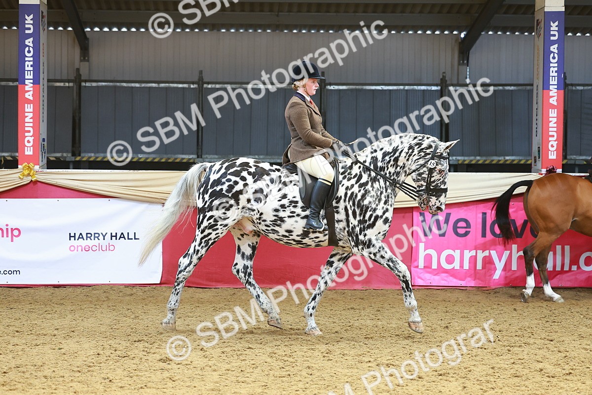 SBM_12430 - Class 103 - HOYS Veteran Qualifier - Ridden Pre Vet
