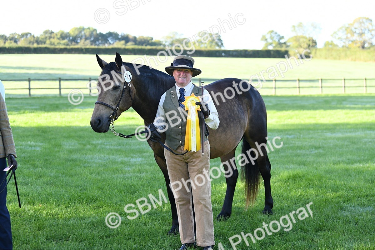 SBM_32834 - S15 - Condition & Turnout In Hand