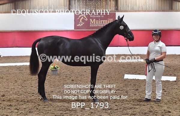 BPP_1793 - MORNING 9AM - 12PM