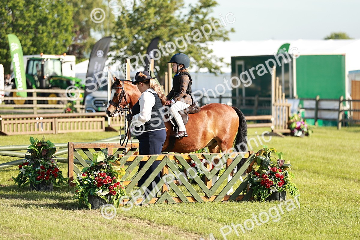 SBM_11146 - Class 106-107 - BSPS LIHS Working Sports Pony