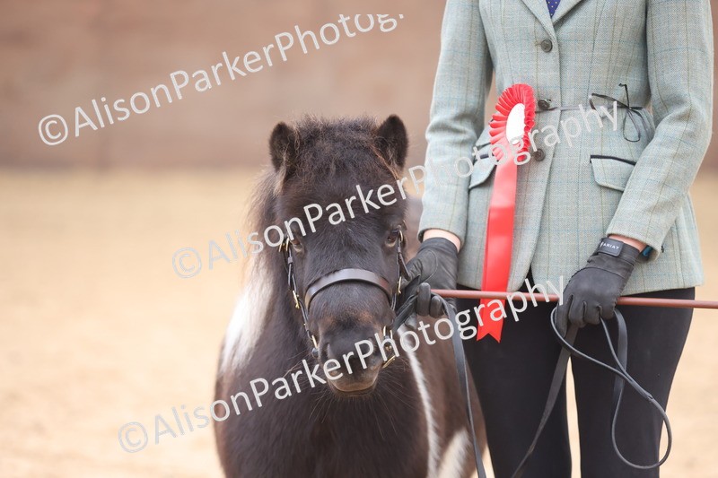 20251109-0258 - Class 11 - 2 and 3 Year Old