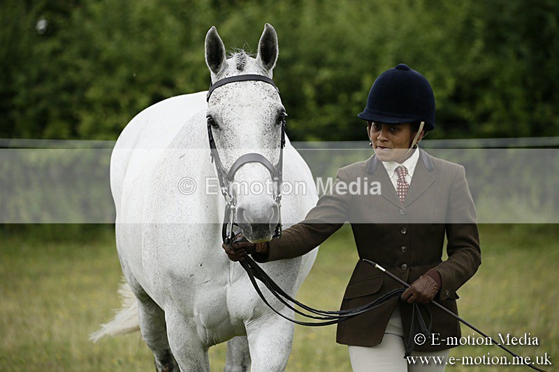 BVR160717-212 - Ring 2 BVRC Show 16/07/17