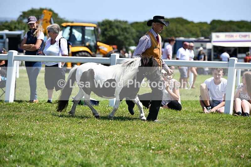DSC_7570 - Class 64: Coloured Pony 4yrs & over