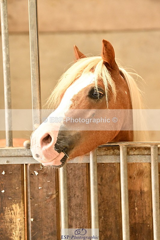 250821B-125200-00447 - Stable Shots and Group Photo