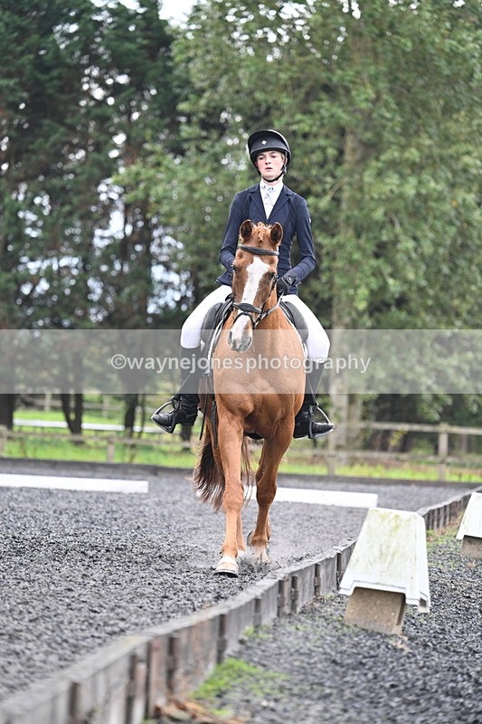 WJ7_6688 - Time 14:49 to 15:14