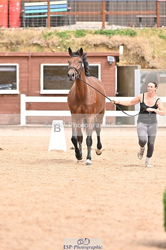 250716-154022-02100 - Trot Up 3.30 to 4.30