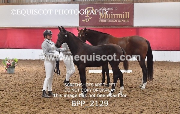 BPP_2129 - AFTERNOON 12.30 - 3.30PM