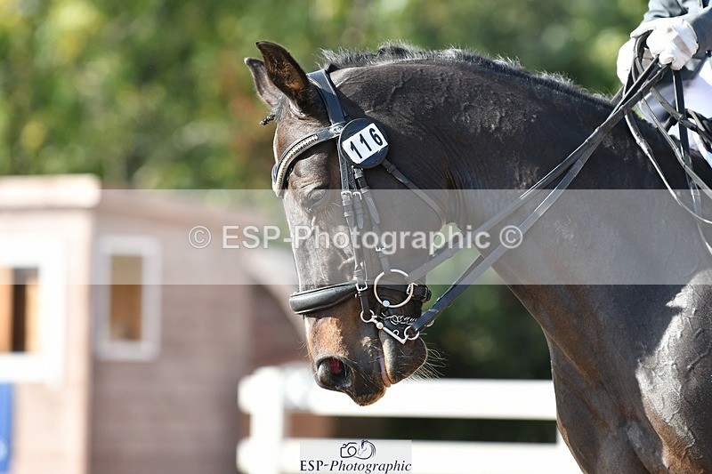 250906-160632-04579 - 116-Louise.CupittEnergiek.N