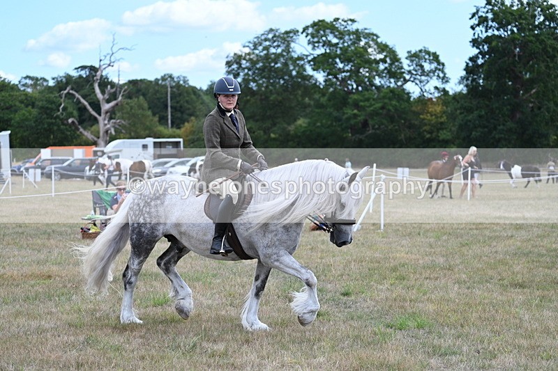 WJ7_4917 - Class 12 Ridden Cob
