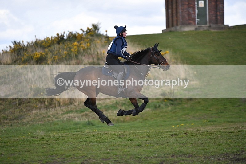 WJ5_3576 - Time 14:19 to 14:53