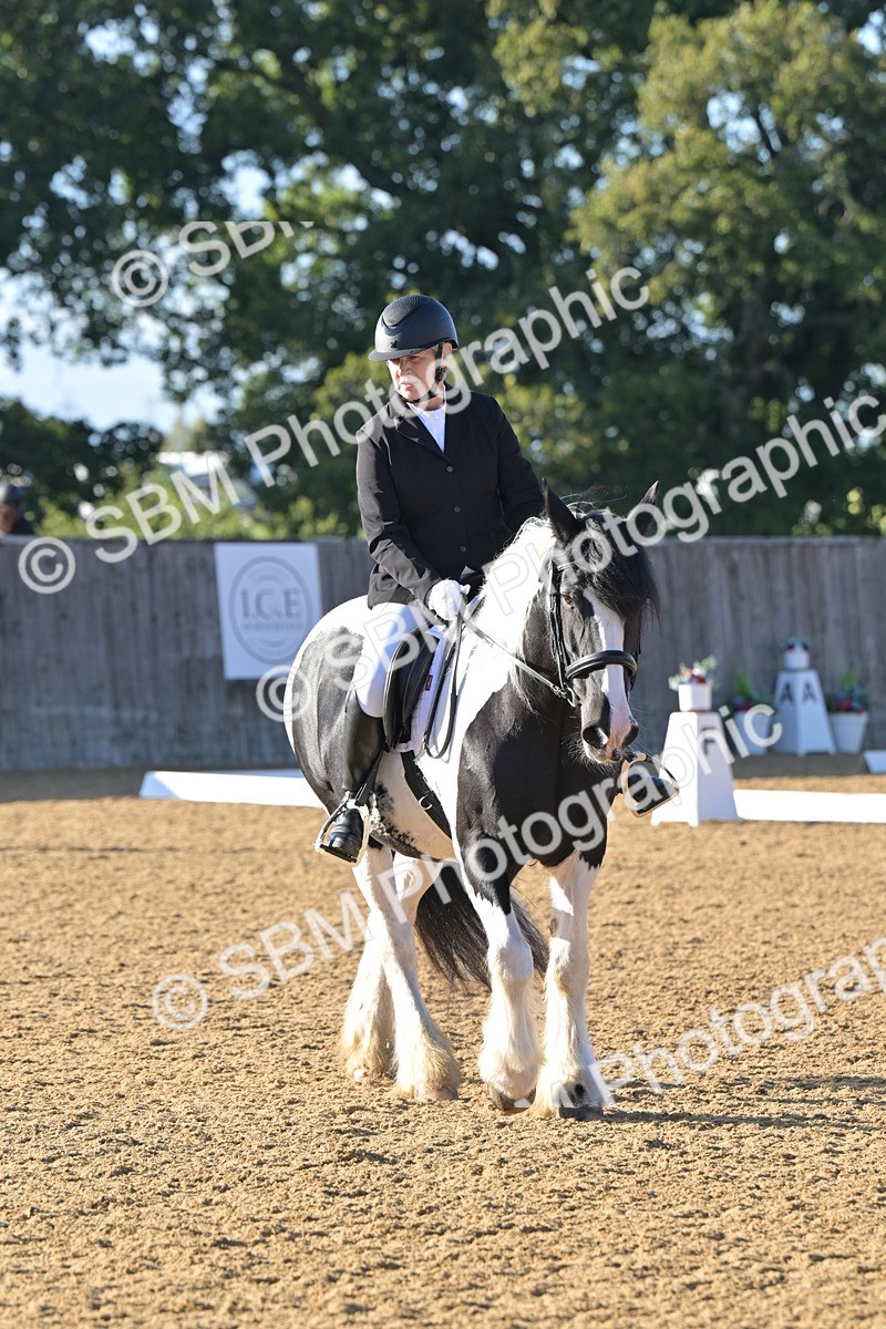 SBM_13021 - D3 - Small Tour Championship Intro 3