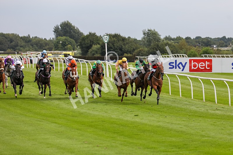 240724-Race 4-Swinging Eddie-3501 - Race 4