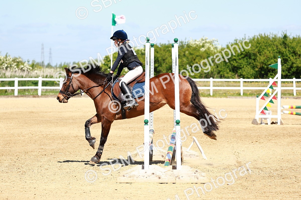 SBM_007133 - Class 3 - 60cm