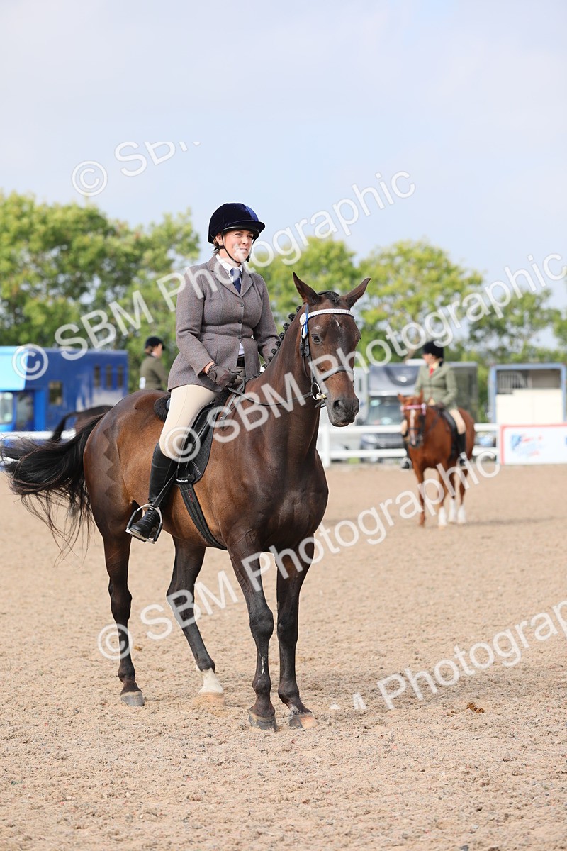 SBM_11443 - Class 305 Ridden Foreign Breeds- Pure Bred