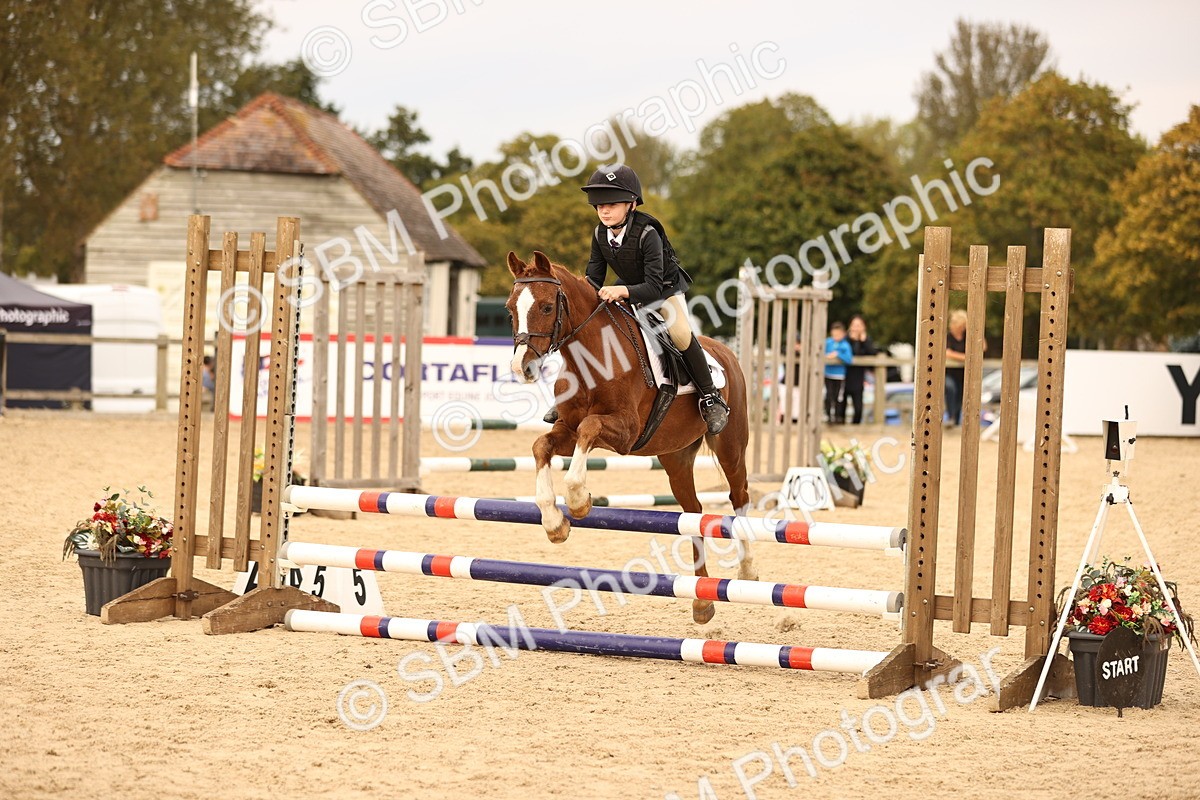 SBM_72463 - J14 - Junior Pony 65cm Championship