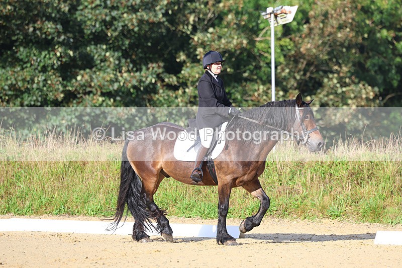 3E7A1854 - Class 1: Intro 4 2024 section A