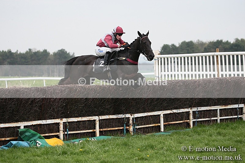 PtP 210418 77 - South & West Wilts Point-to-Point Larkhill 21/04/18