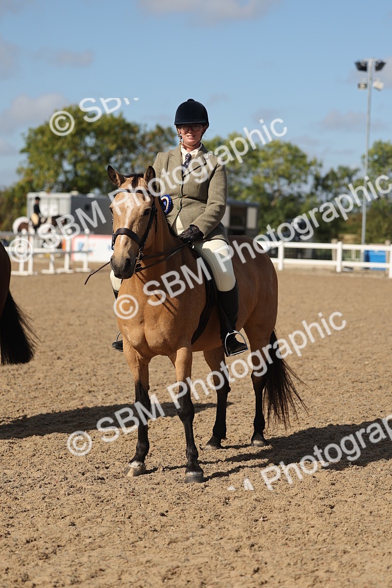 SBM_22640 - Class 804 - Ridden Veteran Pony
