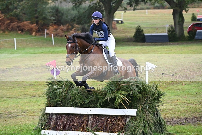 WJ6_2208 - 80cm Cam 1 Time 10:47 to 11:22