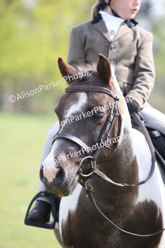 20260426-2521 - Class 31 - Leading Rein